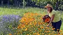pixie_1701293355496.webp
