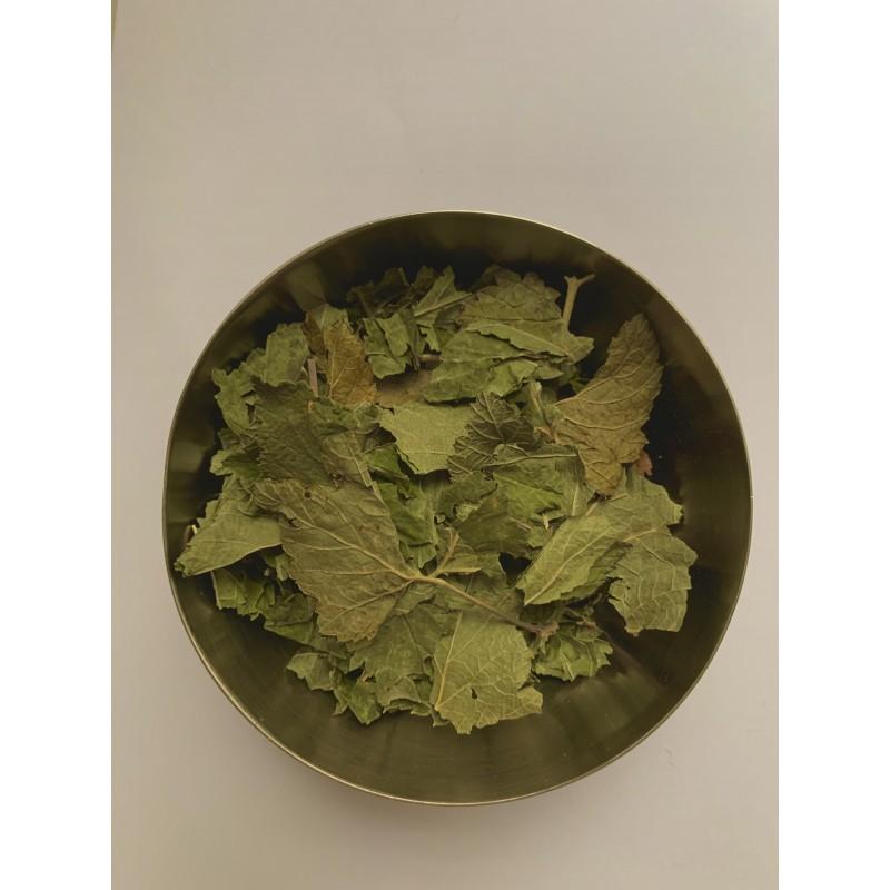 Cassis – feuille Tisanes uniflorales  50g Thera Flore 