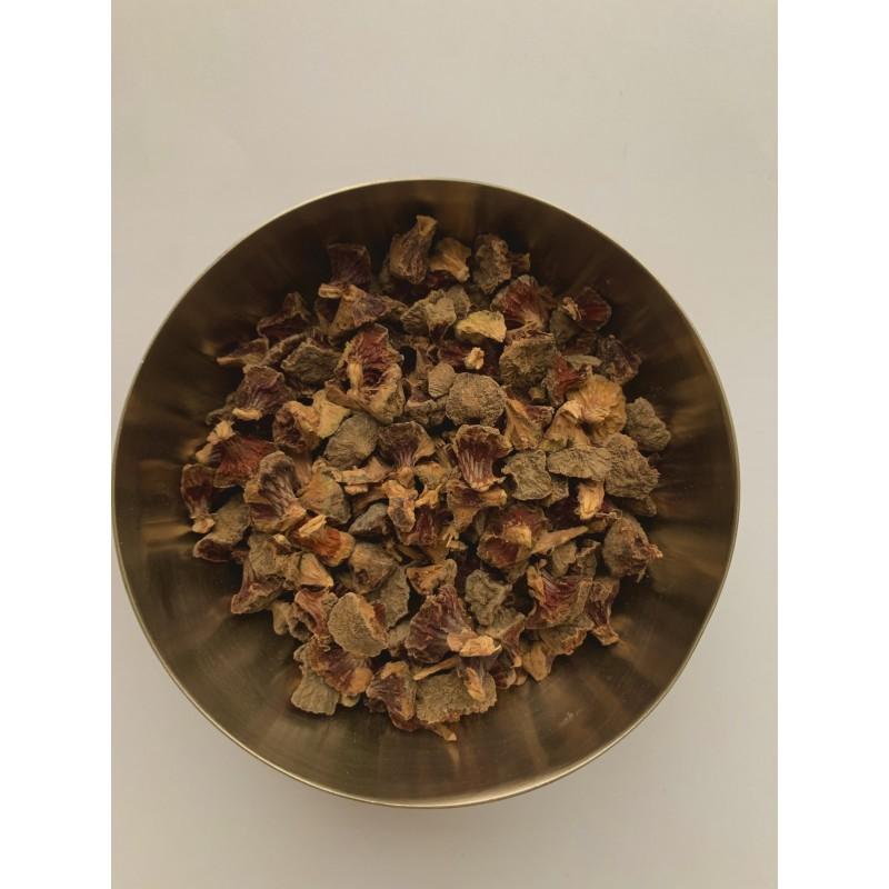 Cyprès – cône Tisanes uniflorales  50 g Thera Flore 