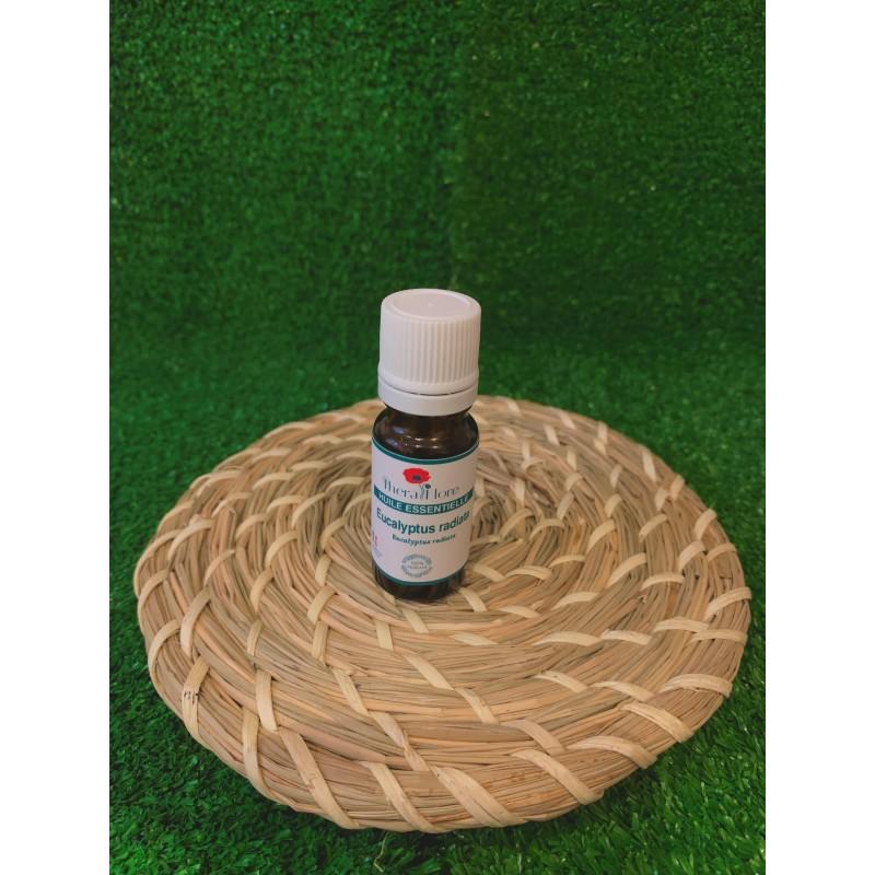 Eucalyptus radiata Huile essentielle Eucalyptus radiata 10 ml Thera Flore 