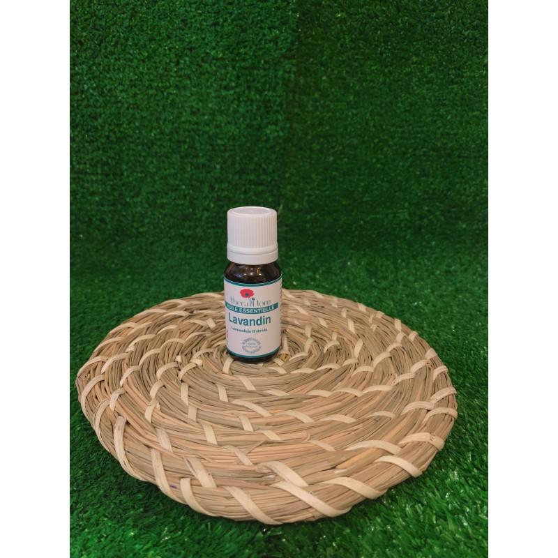 Lavandin grosso Huile essentielle Lavandula hybrida 10 ml Thera Flore 