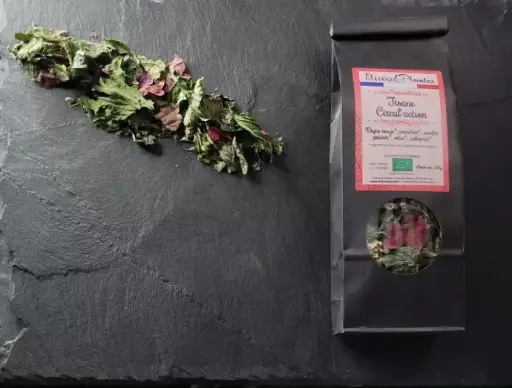 Tisane BIO Circul’action Elixirs et Plantes 