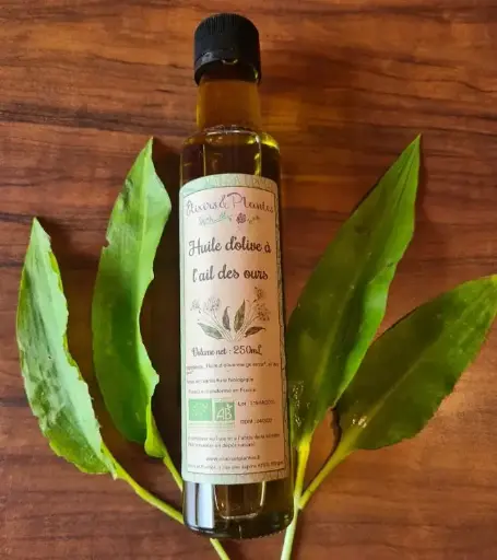 Huile d’olive à l’ail des ours Bio Elixirs et Plantes 