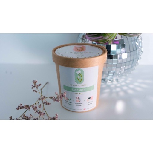 Pot infusettes Digestion 